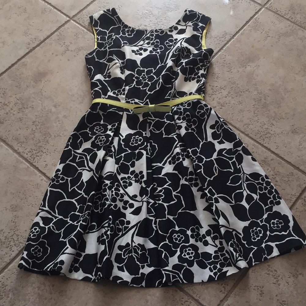 NWT The Limited Floral Printed Dress 2